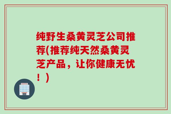 纯野生桑黄灵芝公司推荐(推荐纯天然桑黄灵芝产品，让你健康无忧！)