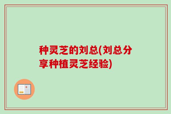 种灵芝的刘总(刘总分享种植灵芝经验) 种灵芝的刘总(刘总分享种植灵芝经验)