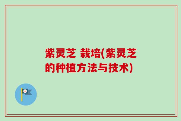 紫灵芝 栽培(紫灵芝的种植方法与技术)