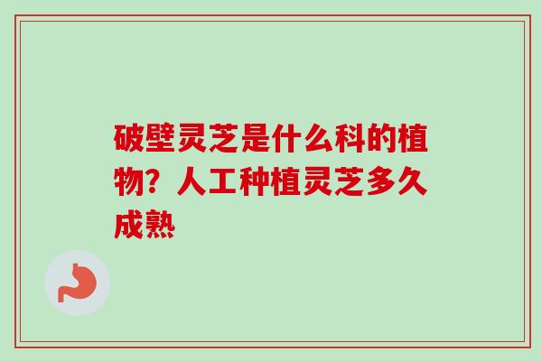 破壁灵芝是什么科的植物?人工种植灵芝多久成熟 破壁灵芝是什么科的植物?人工种植灵芝多久成熟