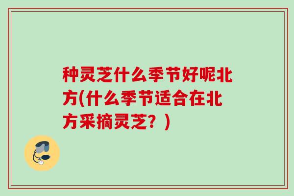 种灵芝什么季节好呢北方(什么季节适合在北方采摘灵芝？)