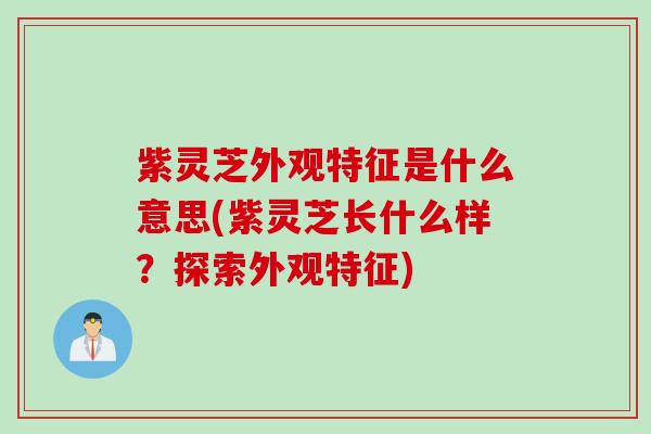 紫灵芝外观特征是什么意思(紫灵芝长什么样?探索外观特征) 紫灵芝外观特征是什么意思(紫灵芝长什么样?探索外观特征)