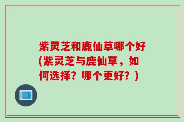 紫灵芝和鹿仙草哪个好(紫灵芝与鹿仙草，如何选择？哪个更好？)