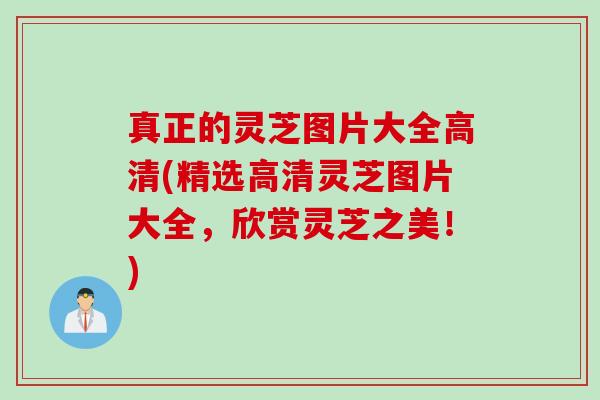 真正的灵芝图片大全高清(精选高清灵芝图片大全,欣赏灵芝之美!) 真正的灵芝图片大全高清(精选高清灵芝图片大全,欣赏灵芝之美!)