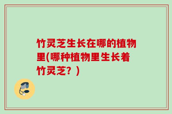 竹灵芝生长在哪的植物里(哪种植物里生长着竹灵芝?) 竹灵芝生长在哪的植物里(哪种植物里生长着竹灵芝?)