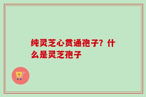 纯灵芝心贯通孢子？什么是灵芝孢子