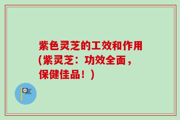紫色灵芝的工效和作用(紫灵芝:功效全面,保健佳品!) 紫色灵芝的工效和作用(紫灵芝:功效全面,保健佳品!)