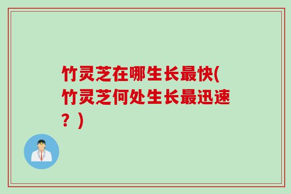 竹灵芝在哪生长最快(竹灵芝何处生长最迅速？)