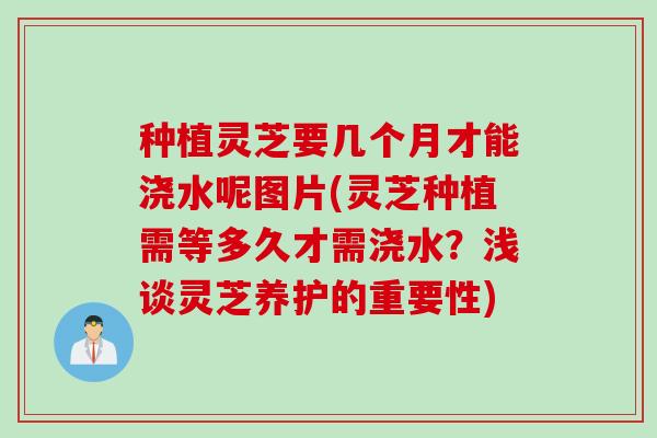 种植灵芝要几个月才能浇水呢图片(灵芝种植需等多久才需浇水？浅谈灵芝养护的重要性)