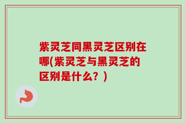 紫灵芝同黑灵芝区别在哪(紫灵芝与黑灵芝的区别是什么？)