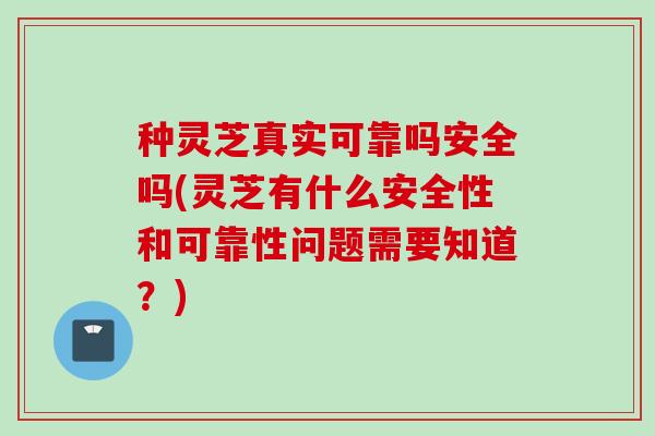 种灵芝真实可靠吗安全吗(灵芝有什么安全性和可靠性问题需要知道？)