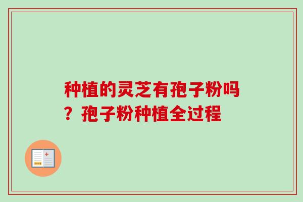 种植的灵芝有孢子粉吗？孢子粉种植全过程