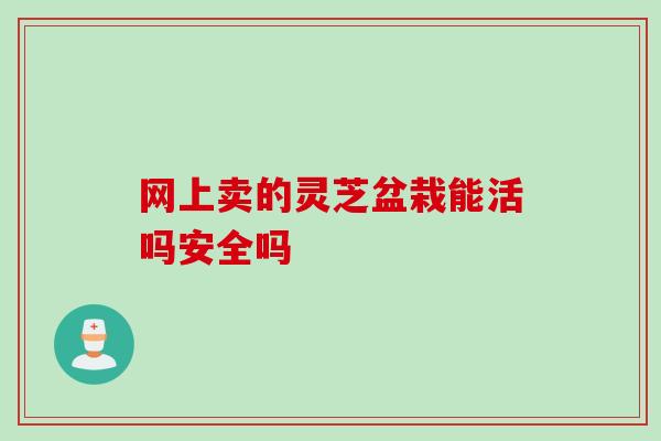 网上卖的灵芝盆栽能活吗安全吗