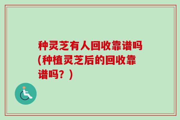 种灵芝有人回收靠谱吗(种植灵芝后的回收靠谱吗？)