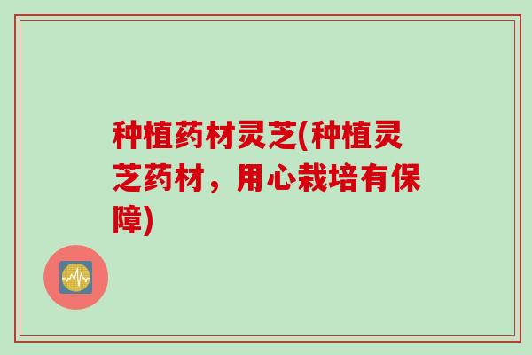 种植药材灵芝(种植灵芝药材，用心栽培有保障)