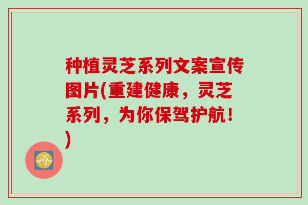 种植灵芝系列文案宣传图片(重建健康，灵芝系列，为你保驾护航！)