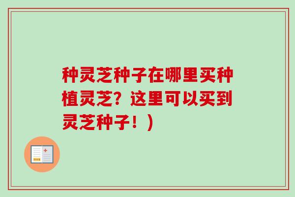 种灵芝种子在哪里买种植灵芝？这里可以买到灵芝种子！)