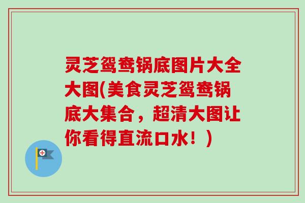 灵芝鸳鸯锅底图片大全大图(美食灵芝鸳鸯锅底大集合，超清大图让你看得直流口水！)