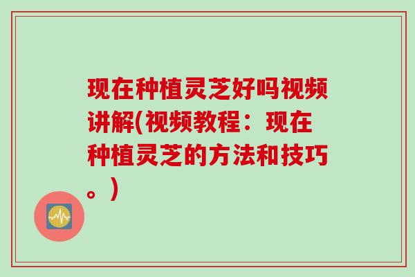 现在种植灵芝好吗视频讲解(视频教程:现在种植灵芝的方法和技巧。) 现在种植灵芝好吗视频讲解(视频教程:现在种植灵芝的方法和技巧。)