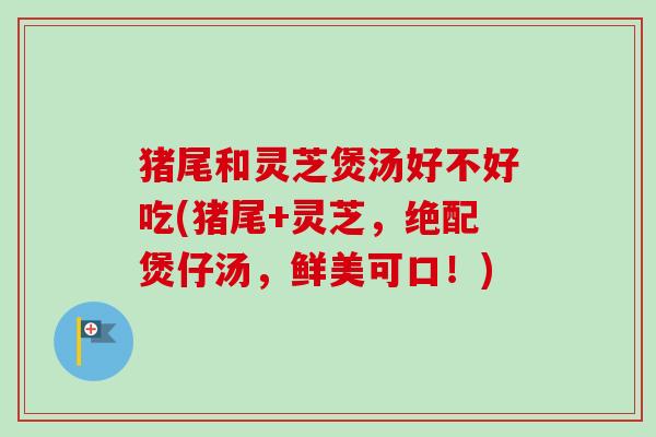 猪尾和灵芝煲汤好不好吃(猪尾+灵芝，绝配煲仔汤，鲜美可口！)