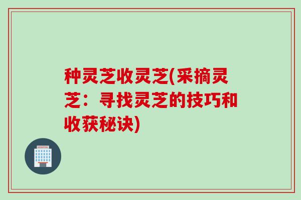 种灵芝收灵芝(采摘灵芝：寻找灵芝的技巧和收获秘诀)