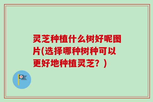 灵芝种植什么树好呢图片(选择哪种树种可以更好地种植灵芝？)