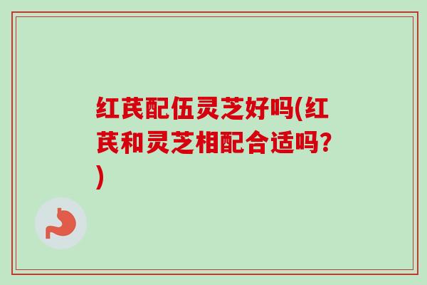 红芪配伍灵芝好吗(红芪和灵芝相配合适吗？)