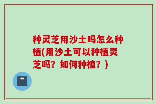 种灵芝用沙土吗怎么种植(用沙土可以种植灵芝吗？如何种植？)