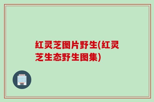 红灵芝图片野生(红灵芝生态野生图集)