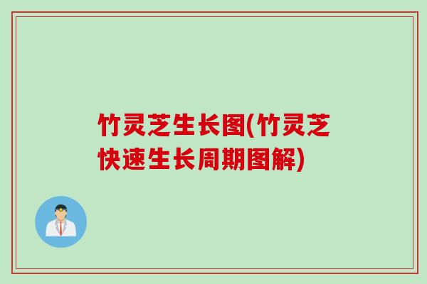 竹灵芝生长图(竹灵芝快速生长周期图解)