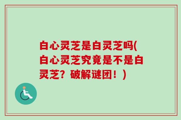 白心灵芝是白灵芝吗(白心灵芝究竟是不是白灵芝？破解谜团！)