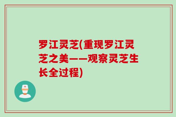 罗江灵芝(重现罗江灵芝之美——观察灵芝生长全过程)