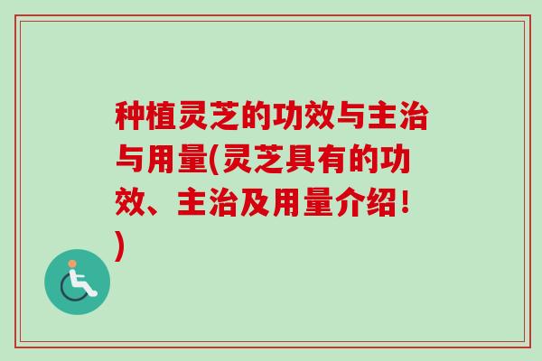 种植灵芝的功效与主治与用量(灵芝具有的功效、主治及用量介绍！)