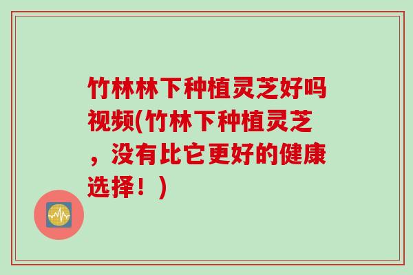 竹林林下种植灵芝好吗视频(竹林下种植灵芝，没有比它更好的健康选择！)