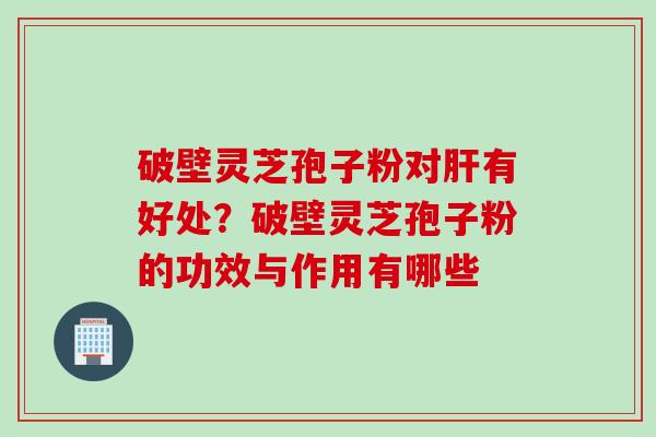 破壁灵芝孢子粉对肝有好处？破壁灵芝孢子粉的功效与作用有哪些