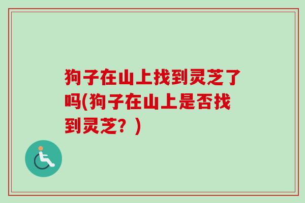 狗子在山上找到灵芝了吗(狗子在山上是否找到灵芝？)