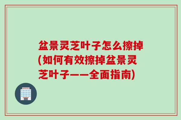 盆景灵芝叶子怎么擦掉(如何有效擦掉盆景灵芝叶子——全面指南)