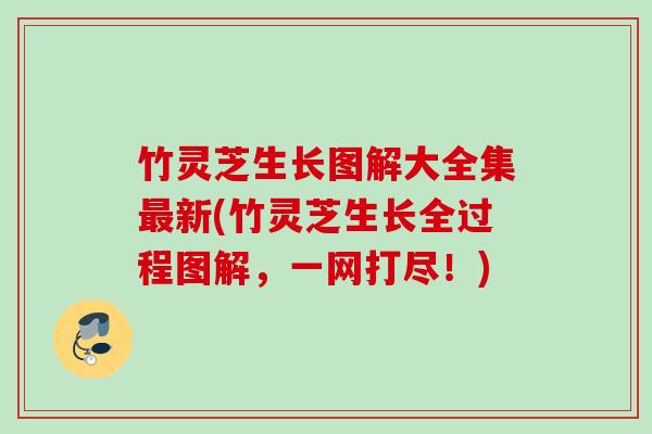 竹灵芝生长图解大全集最新(竹灵芝生长全过程图解，一网打尽！)
