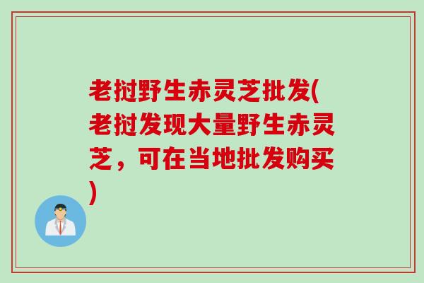 老挝野生赤灵芝批发(老挝发现大量野生赤灵芝，可在当地批发购买)