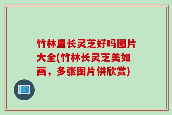 竹林里长灵芝好吗图片大全(竹林长灵芝美如画，多张图片供欣赏)