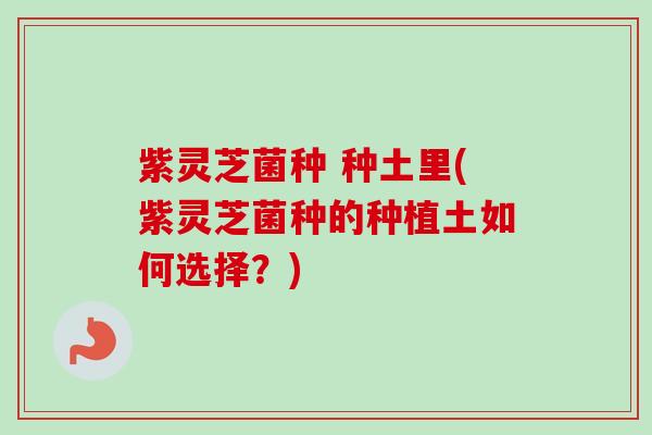 紫灵芝菌种 种土里(紫灵芝菌种的种植土如何选择？)
