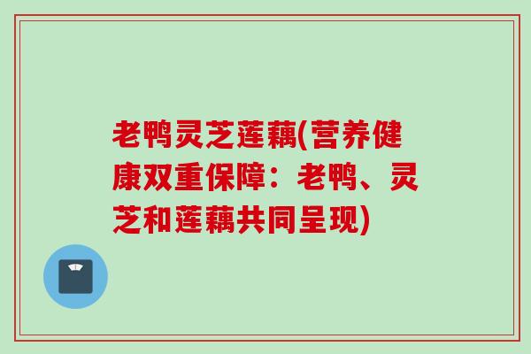 老鸭灵芝莲藕(营养健康双重保障：老鸭、灵芝和莲藕共同呈现)
