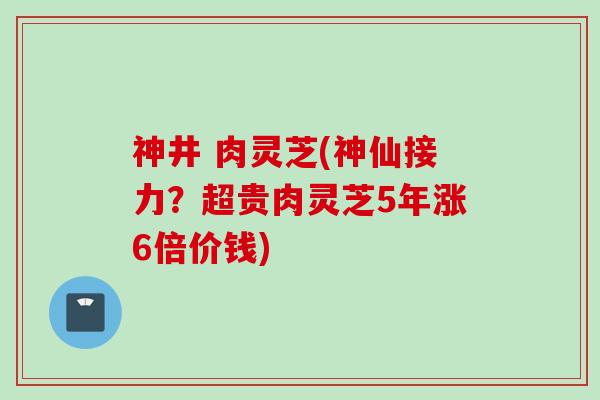 神井 肉灵芝(神仙接力？超贵肉灵芝5年涨6倍价钱)