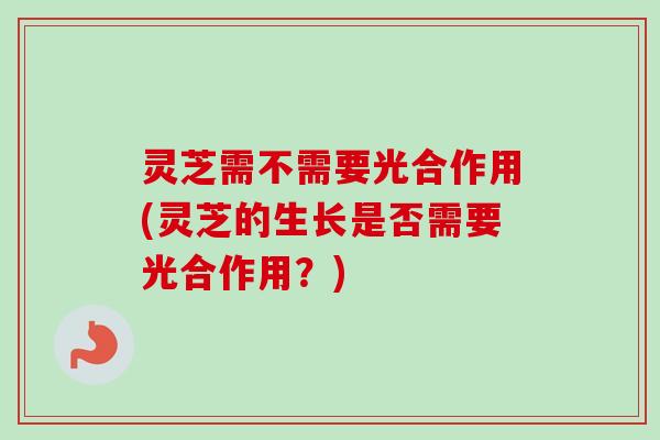 灵芝需不需要光合作用(灵芝的生长是否需要光合作用？)