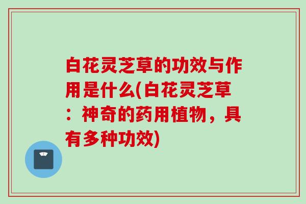 白花灵芝草的功效与作用是什么(白花灵芝草：神奇的药用植物，具有多种功效)