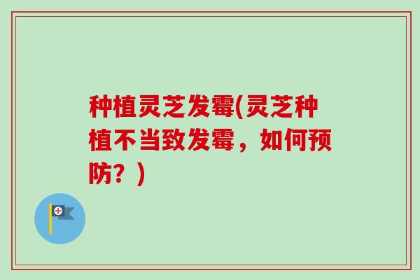 种植灵芝发霉(灵芝种植不当致发霉，如何预防？)