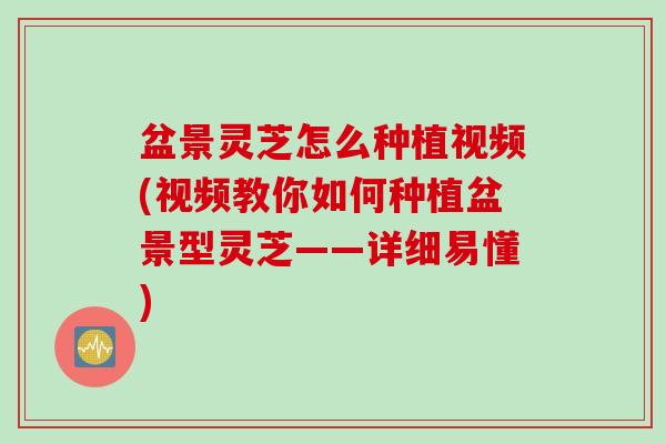 盆景灵芝怎么种植视频(视频教你如何种植盆景型灵芝——详细易懂)