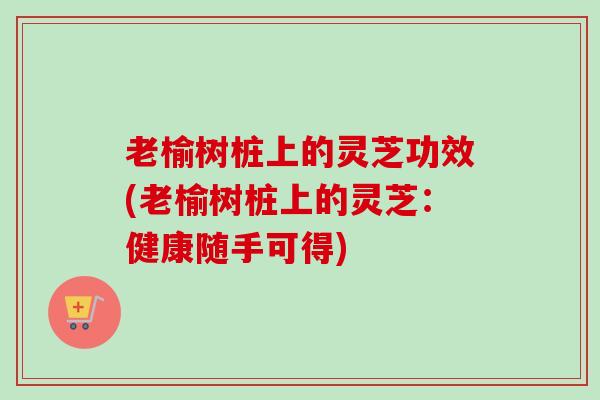 老榆树桩上的灵芝功效(老榆树桩上的灵芝：健康随手可得)