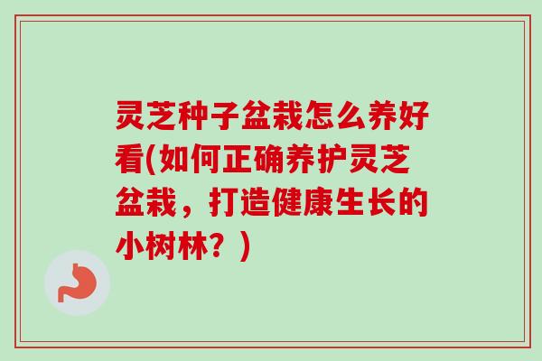 灵芝种子盆栽怎么养好看(如何正确养护灵芝盆栽，打造健康生长的小树林？)