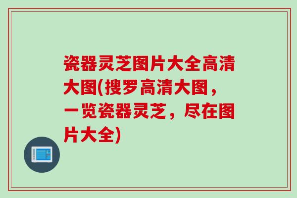 瓷器灵芝图片大全高清大图(搜罗高清大图，一览瓷器灵芝，尽在图片大全)